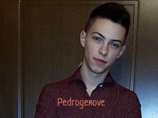 Pedrogenove
