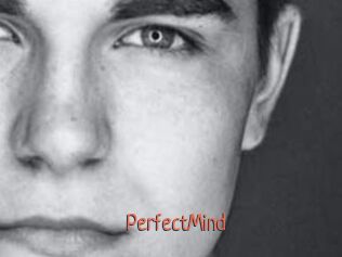 PerfectMind Kachou Fuzoku