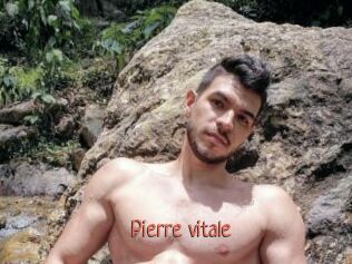 Pierre_vitale