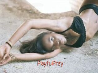 PlayfulPrey