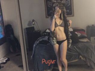 Puglvr