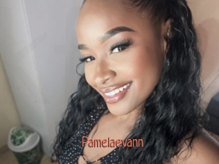 Pamelaevann