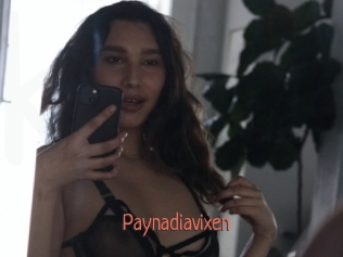 Paynadiavixen