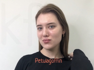 Petulagoffin