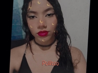 Pollitoo
