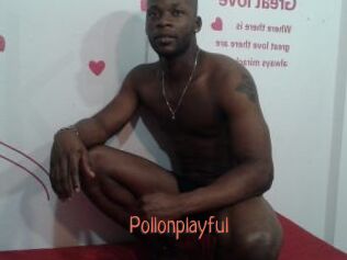 Pollonplayful