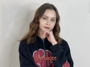 Portiagee