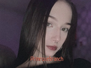 Primrosebranch
