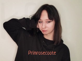 Primrosecoote