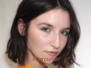 Primrosefurr