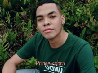 Prince_cobra