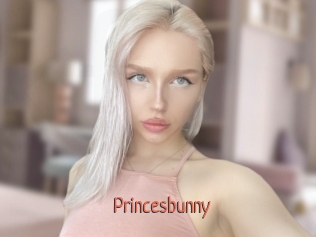 princesbunny Kachou Fuzoku