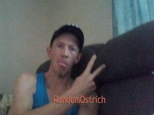 RandomOstrich