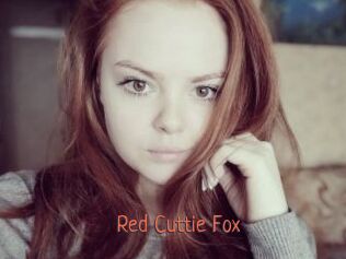 Red_Cuttie_Fox