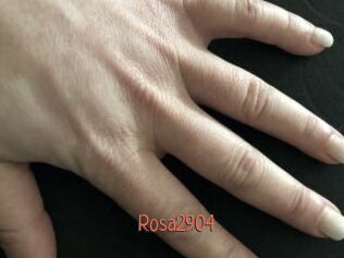Rosa2904
