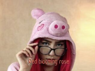 Red_blooming_rose