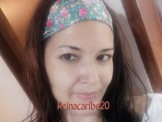 reinacaribe20 Kachou Fuzoku