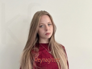 Reynagitter