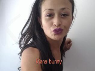 riana_bunny Kachou Fuzoku
