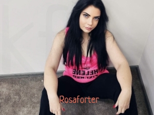 rosaforter Kachou Fuzoku