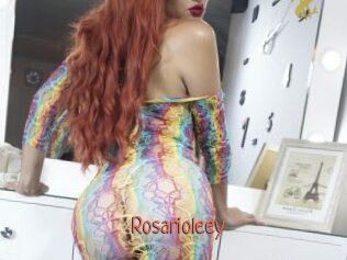 Rosarioleey