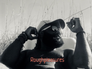 Roughpleasures