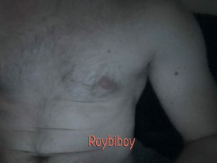 roybiboy Kachou Fuzoku