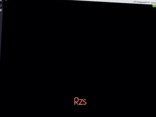 Rzs