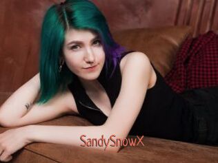 SandySnowX