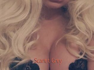 Scarlet_Grey
