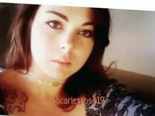 Scarletrose19