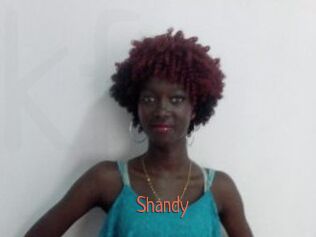 Shandy