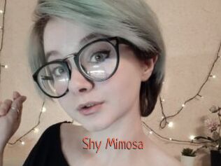 Shy_Mimosa