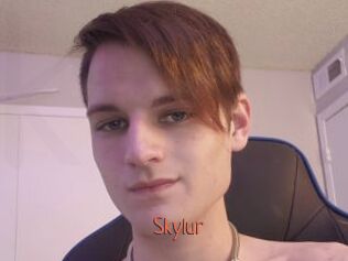 Skylur