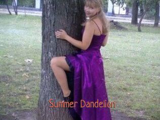 Summer_Dandelion