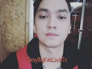 _SexyBigFatCockTs_