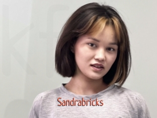 Sandrabricks