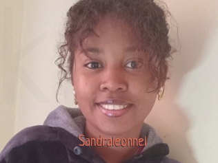 Sandraleonnel