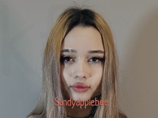 Sandyapplebee
