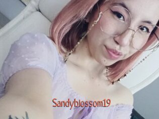 Sandyblossom19