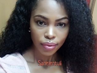 Sanelentuli