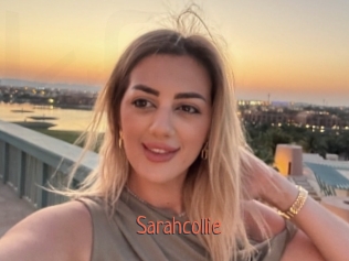 Sarahcollie