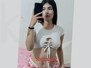 Sashagate