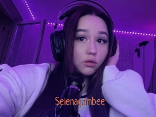 Selenagambee