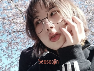 Seosoojin