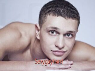 Sexygayhard