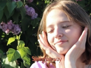 Sibleyhalloway
