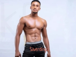 Silverdingo