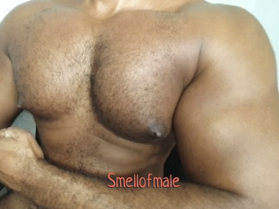smellofmale Kachou Fuzoku