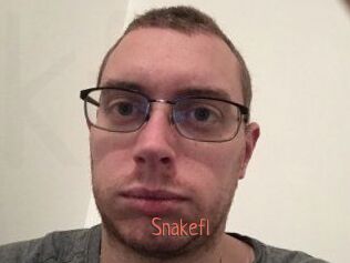 Snakefl